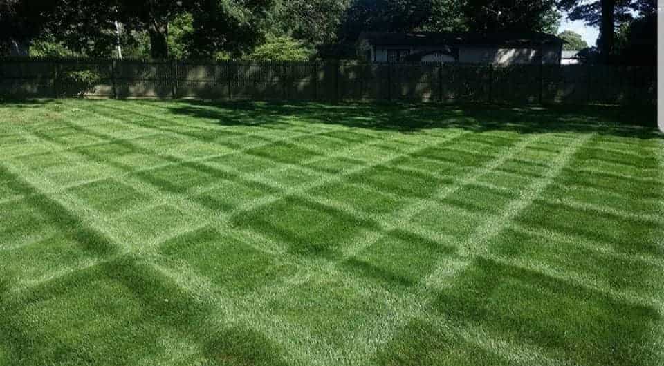 Lawn Mowing Services Near Maryland
